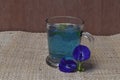 Telang Flower tea (Clitoria ternatea) with a beautiful blue color.