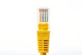 Telecommunication cable RJ45 Royalty Free Stock Photo