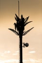 Telecommunication mast / tower with Palm tree leafs and TV trans Royalty Free Stock Photo