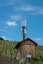 Telecommunication mast in a vineyard