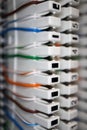 Telecommunication quick connect punchdown blocks with colorful twisted pair close up Royalty Free Stock Photo