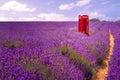 Telecommunication in rural areas and idyllic countryside concept theme with a vintage english telephone box or british phone booth