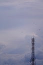 Telecommunication Tower against Evening Cloudy Sky with Many Flying Birds Royalty Free Stock Photo