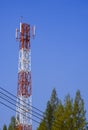 Telecommunication tower antenna with cable lines and pine trees against blue clear sky Royalty Free Stock Photo