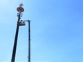 Telecommunication tower with antennas against blue sky background with copy space Royalty Free Stock Photo