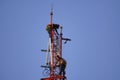 Telecommunication tower of 4G and 5G cellular.