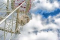 Telecommunication tower with a sunlight. Used to transmit television signals. Royalty Free Stock Photo