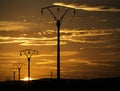 Telecommunication towers connected with wires at sunset with the golden sky at sunset