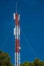 Telecommunications equipment. directional mobile phone antenna dishes. Wireless communication