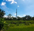 a telecommunications tower is behind the lush trees and rice fields