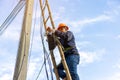 A telecoms worker is shown working from a utility pole ladder while wearing high visibility personal safety clothing, PPE, and a