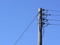 Telegraph pole