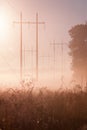 Telegraph pole, tree and grass in fog Royalty Free Stock Photo