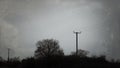 Telegraph poles going into the distance on a bleak, moody winters day in the English countryside, With a flock of birds above.