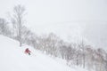 Telemark skiing in powder near Niseko United resorts in Hokkaido Royalty Free Stock Photo