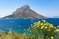 Telendos island, with flovers in front. Spring view on Kalumnos island. GRECE