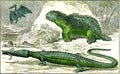 The Teleosaurus and the hylaeosaurus of the Jurassic period, vintage engraving