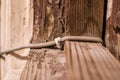 Telephone cable attached to wooden corner, object focus, close up, macro