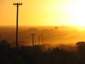 Telephone line sunset