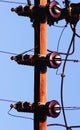 Telephone pole