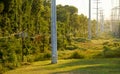 Telephone Poles and High Tension Power Cables Royalty Free Stock Photo