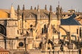 Telephoto lens view of the Cathedral of Toledo. Detail of the apse