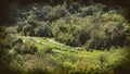 Telephoto Shot Of Beehives In A Green Valley