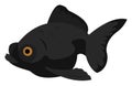 Telescop gold fish, illustration, vector Royalty Free Stock Photo