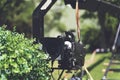 Telescopic crane with tv camera in outdoor Royalty Free Stock Photo