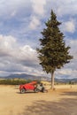 Telescopic loader under a cypress tree on a construction site,