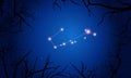 Telescopium constellation. Tree branches, sky Royalty Free Stock Photo