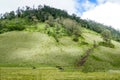 Teletubbies hill and field