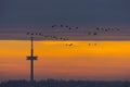 Television and radio broadcast tower on hill over the city of Regensburg with flying swarm of birds during colorful winter sunrise Royalty Free Stock Photo