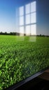 Television screen displaying green grass field Royalty Free Stock Photo