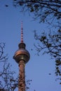 Television tower of berlin with crows Royalty Free Stock Photo