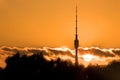 Television tower Ostankino on sunset