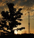 Television tower in Viesintos town at sunset Royalty Free Stock Photo