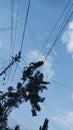 telkom network under blue sky