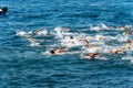 Swimming competition in the sea - Tellaro La Spezia Liguria Italy Royalty Free Stock Photo