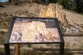 Information sign about the Big Stump, a petrified tree in Florissant Fossil Beds