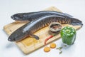 Telo Taki or Spotted snakehead, Channa punctata or Spotted snakehead that found in thousands of rivers and ponds