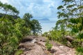 Telok padan kecil Cliff in Bako National Park Royalty Free Stock Photo