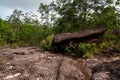 Telok padan kecil Cliff in Bako National Park Royalty Free Stock Photo