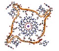 Telomere: structure of human telomeric DNA.