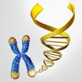 Telomeres DNA Concept Royalty Free Stock Photo