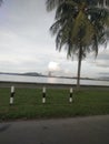 Teluk Likas, Kota kinabalu Sabah Malaysia