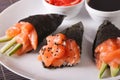 Temaki salmon on a plate close-up. horizontal Royalty Free Stock Photo