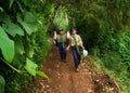 Reforestation in plot 3a area of Mount PRAHU