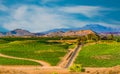 Temecula Valley`s  vineyards are bright green and lush in the afternoon sun Royalty Free Stock Photo