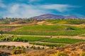 Temecula Valley shows it`s vineyards and wineries on the hills in California Royalty Free Stock Photo